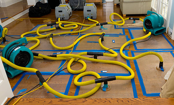 Professional Crawl Space Water Removal technician working in Colonia, NJ
